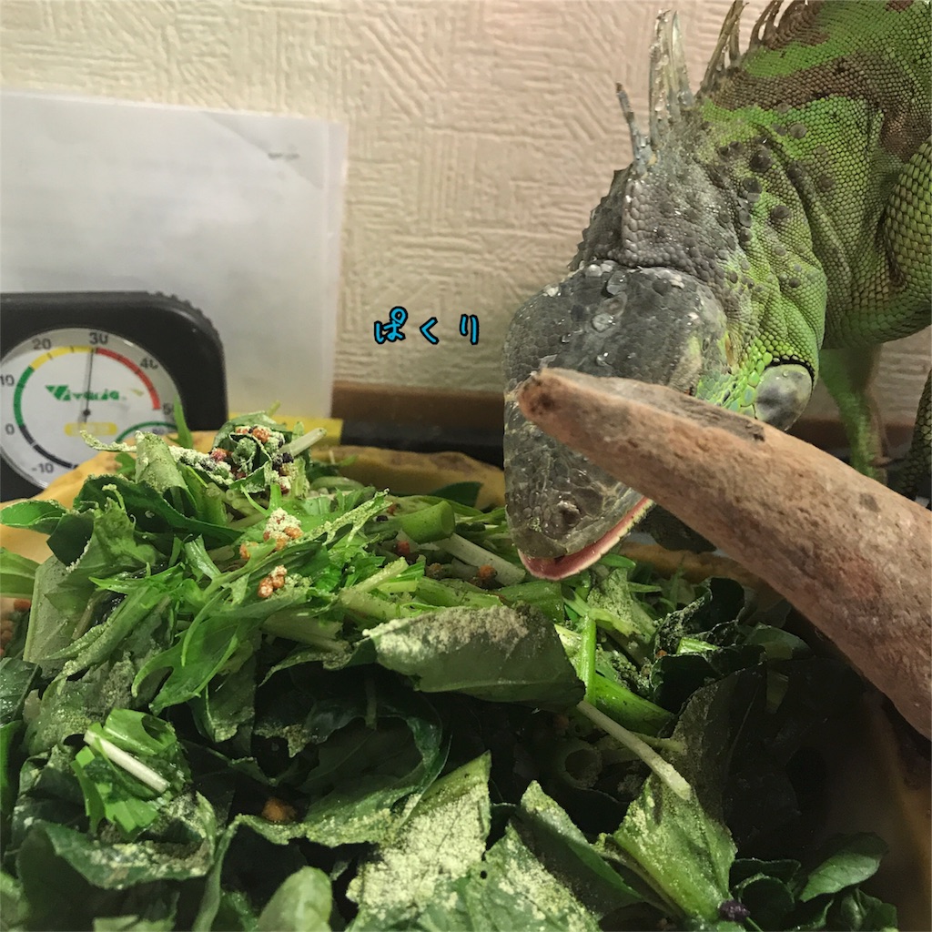 f:id:mmmissaa:20170704235822j:image