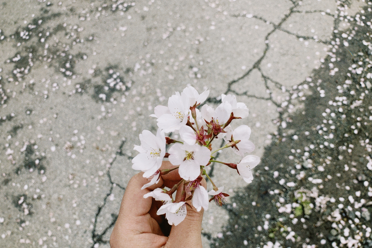 f:id:mmmkooo:20210428110256j:plain