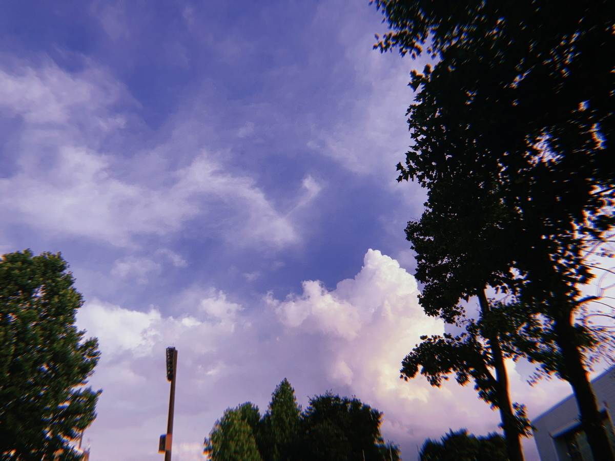f:id:mmmkooo:20210628133915j:plain