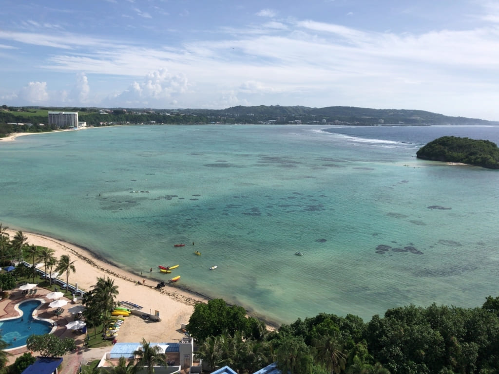 f:id:mmmmfly:20190116210900j:plain f:id:mmmmfly:20190116210900j:plain