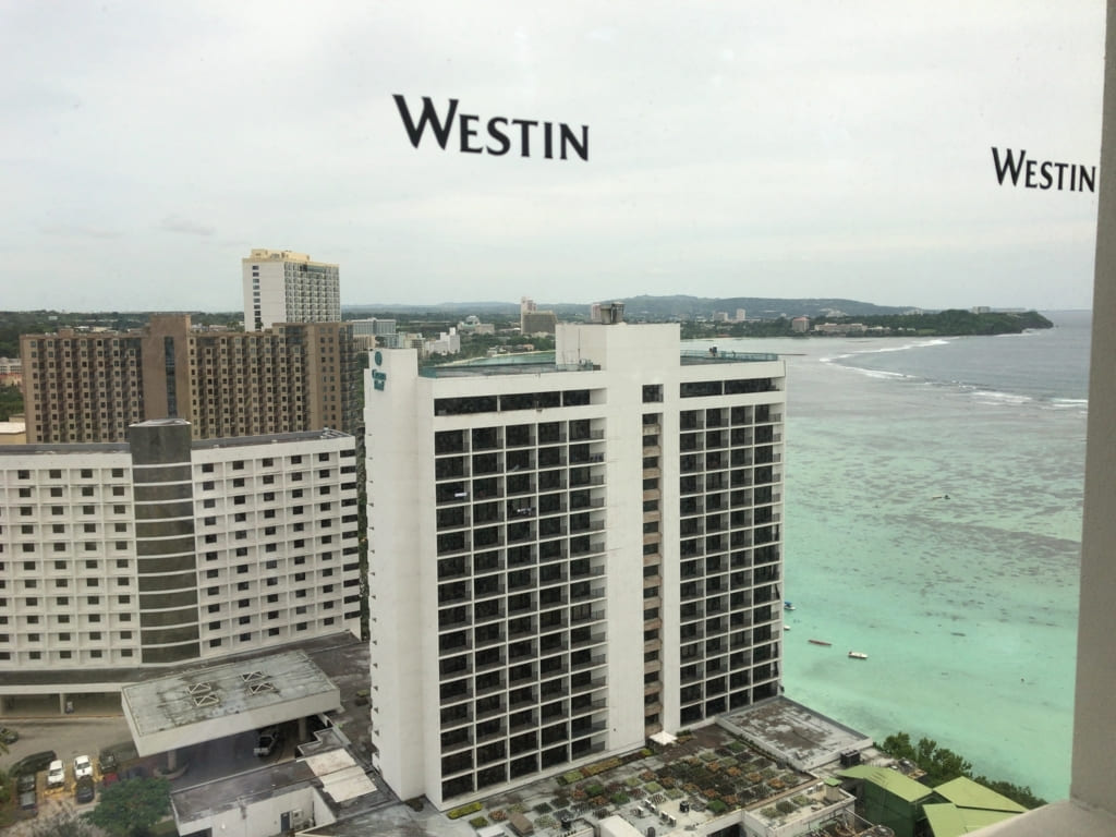 f:id:mmmmfly:20190116212442j:plain