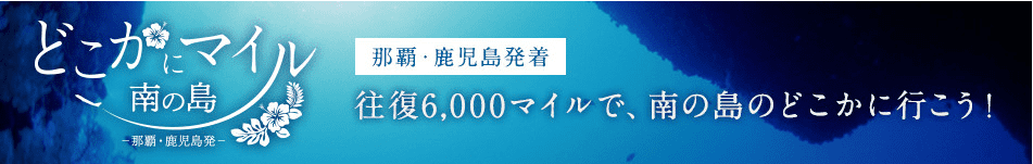 f:id:mmmmfly:20190419222613p:plain f:id:mmmmfly:20190419222613p:plain