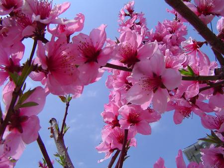 f:id:mmmmmush:20050410003256:image