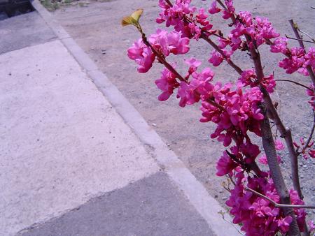 f:id:mmmmmush:20050410003542:image