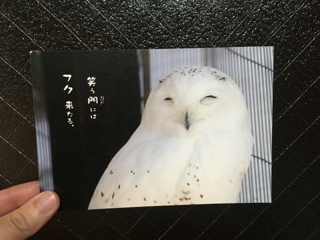 f:id:mmmwords:20201221212748j:plain