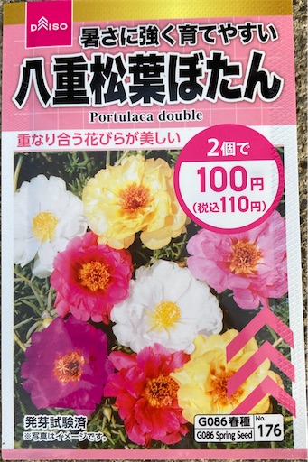 f:id:mmmya:20220602001917j:image
