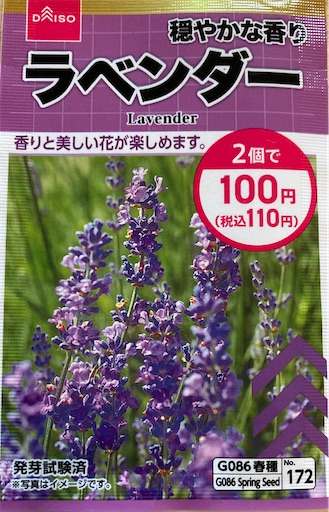 f:id:mmmya:20220602001944j:image