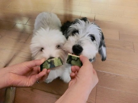 f:id:mmochi:20180817081447j:image