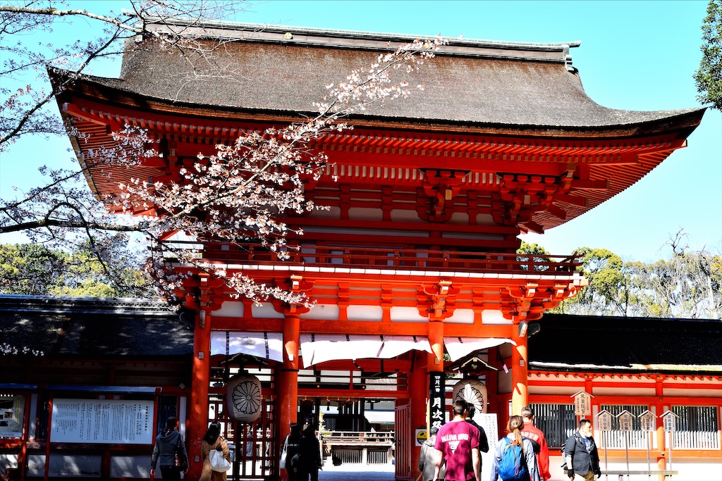 f:id:mmov1099:20200324074154j:image