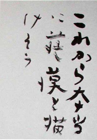 f:id:mmpolo:20080207094329j:image