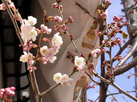 f:id:mmpolo:20080309133327j:image