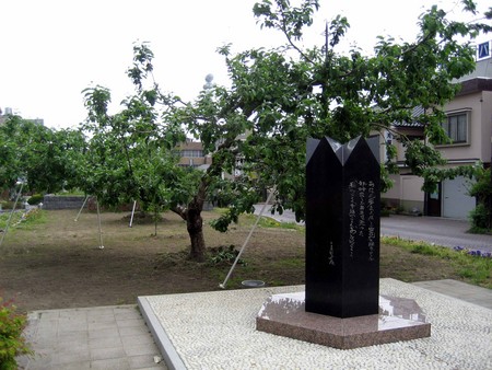 f:id:mmpolo:20080518150224j:image