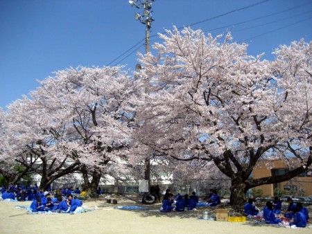 f:id:mmpolo:20090410130848j:image