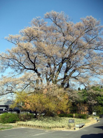 f:id:mmpolo:20090410155913j:image