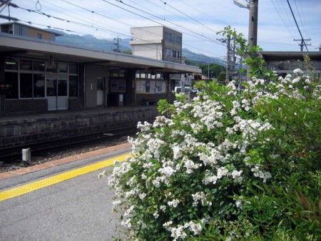 f:id:mmpolo:20090523142604j:image