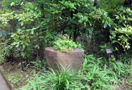 f:id:mmpolo:20090628112616j:image