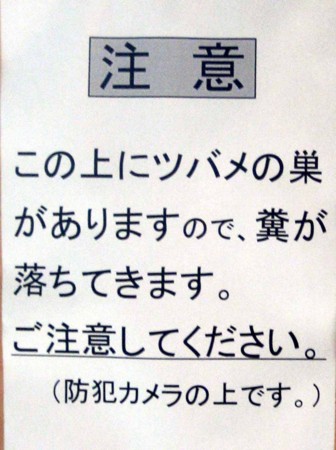 f:id:mmpolo:20090801080056j:image