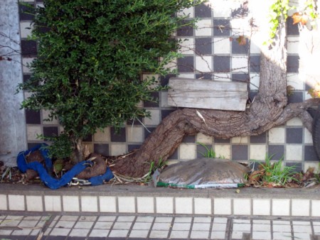 f:id:mmpolo:20091010152135j:image f:id:mmpolo:20091010152135j:image