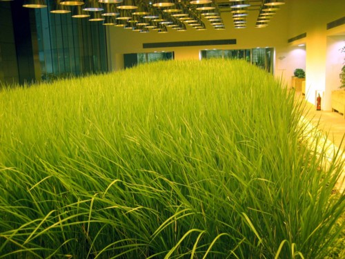 f:id:mmpolo:20100707172603j:image