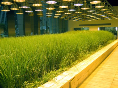 f:id:mmpolo:20100707172609j:image