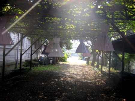 f:id:mmpolo:20101112112715j:image
