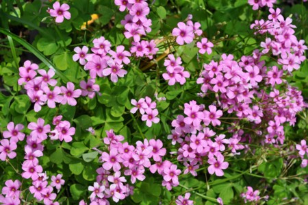 f:id:mmpolo:20120522054719j:image:w360