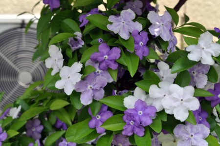 f:id:mmpolo:20120522054755j:image:w360
