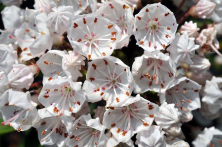 f:id:mmpolo:20120522054806j:image:w360