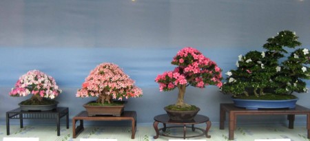 f:id:mmpolo:20120604000857j:image f:id:mmpolo:20120604000857j:image