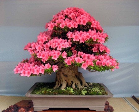 f:id:mmpolo:20120604000859j:image f:id:mmpolo:20120604000859j:image