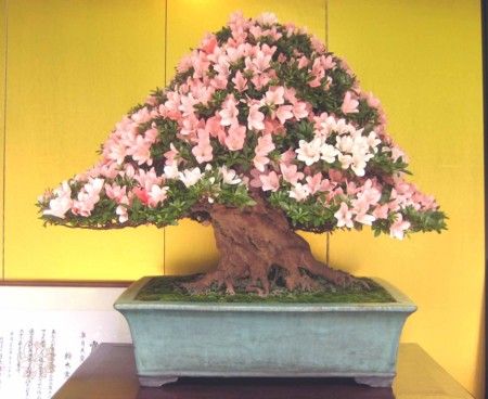 f:id:mmpolo:20120604000900j:image f:id:mmpolo:20120604000900j:image