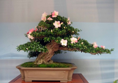 f:id:mmpolo:20120604000901j:image f:id:mmpolo:20120604000901j:image