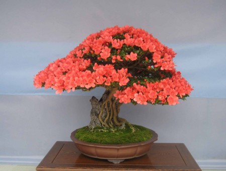 f:id:mmpolo:20120604000902j:image f:id:mmpolo:20120604000902j:image