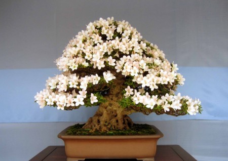 f:id:mmpolo:20120604000904j:image f:id:mmpolo:20120604000904j:image