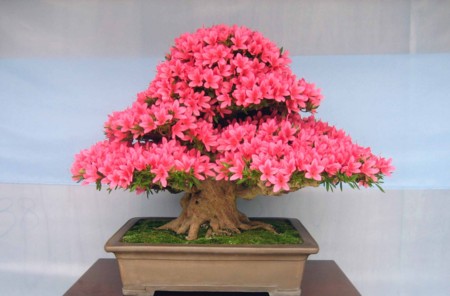 f:id:mmpolo:20120604000905j:image f:id:mmpolo:20120604000905j:image