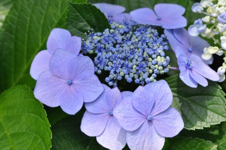 f:id:mmpolo:20120626060856j:image