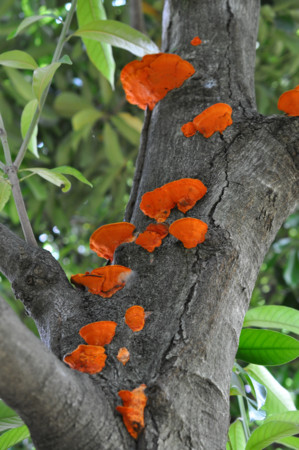 f:id:mmpolo:20120626060857j:image
