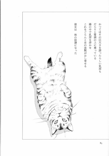 やまだ紫の『樹のうえで猫がみている』を読む - mmpoloの日記