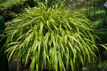 f:id:mmpolo:20120730060953j:image