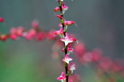 f:id:mmpolo:20121015060211j:image f:id:mmpolo:20121015060211j:image