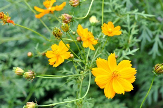 f:id:mmpolo:20121017055915j:image