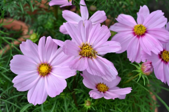 f:id:mmpolo:20121017055917j:image