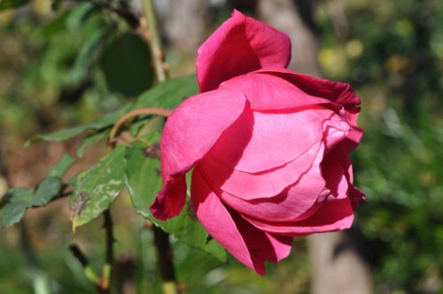 f:id:mmpolo:20121221060224j:image