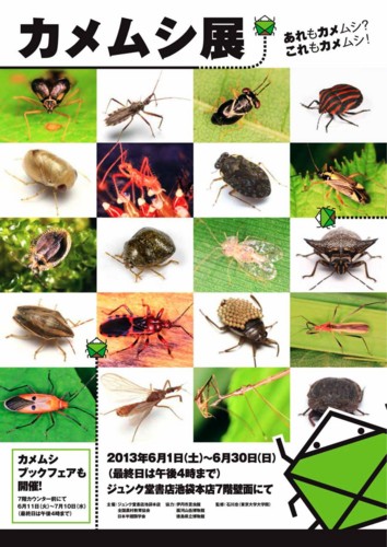 f:id:mmpolo:20130606071740j:image