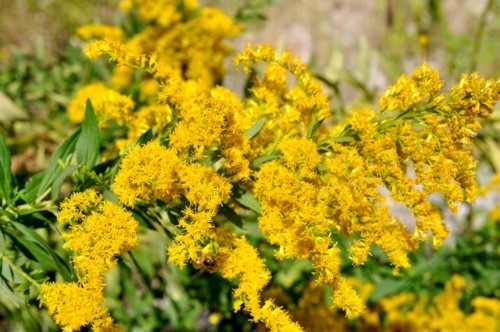 f:id:mmpolo:20131014064658j:image f:id:mmpolo:20131014064658j:image