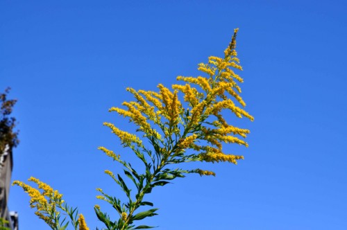 f:id:mmpolo:20131014064659j:image f:id:mmpolo:20131014064659j:image