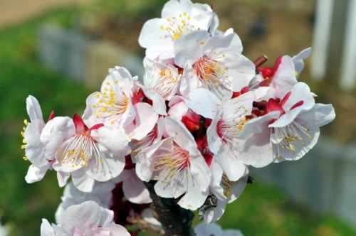 f:id:mmpolo:20140318100519j:image