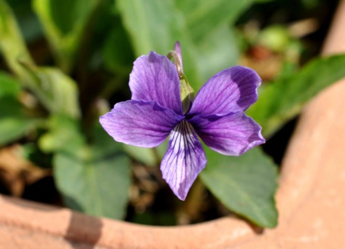 f:id:mmpolo:20140324000936j:image