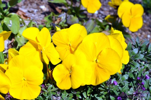 f:id:mmpolo:20140324000938j:image