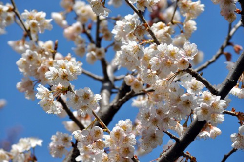 f:id:mmpolo:20150318122727j:image